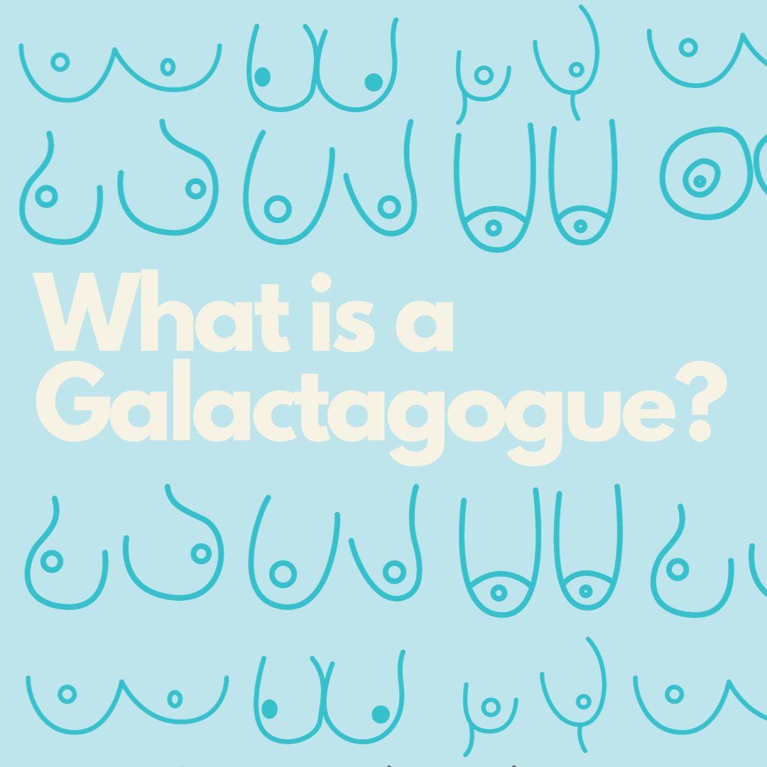What is a galactagogue?