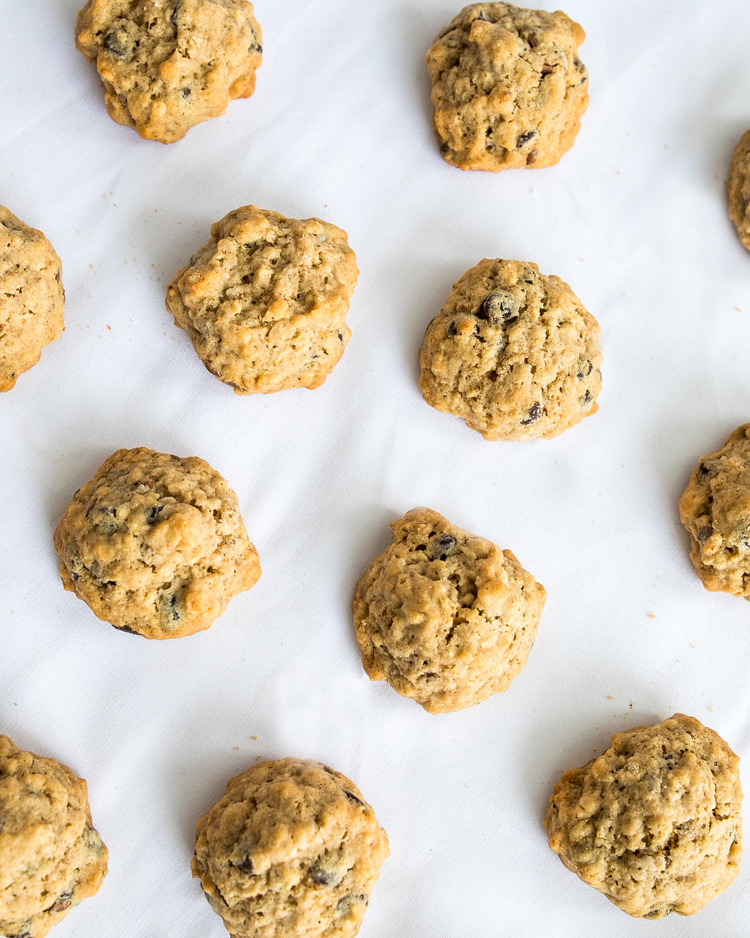 Chocolate Chip Lactation Cookies